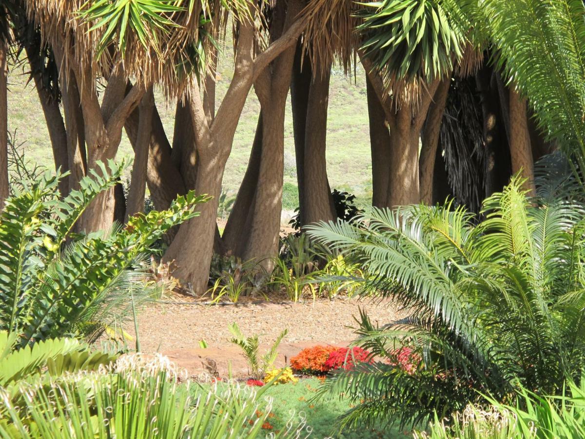Haciendas Del Valle - Las Kentias Valle de Guerra エクステリア 写真