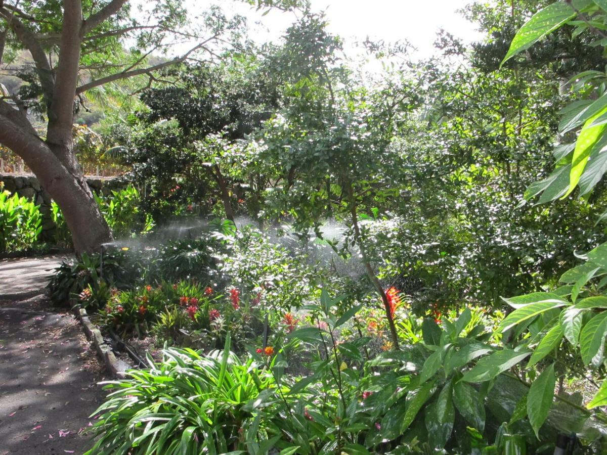 Haciendas Del Valle - Las Kentias Valle de Guerra エクステリア 写真